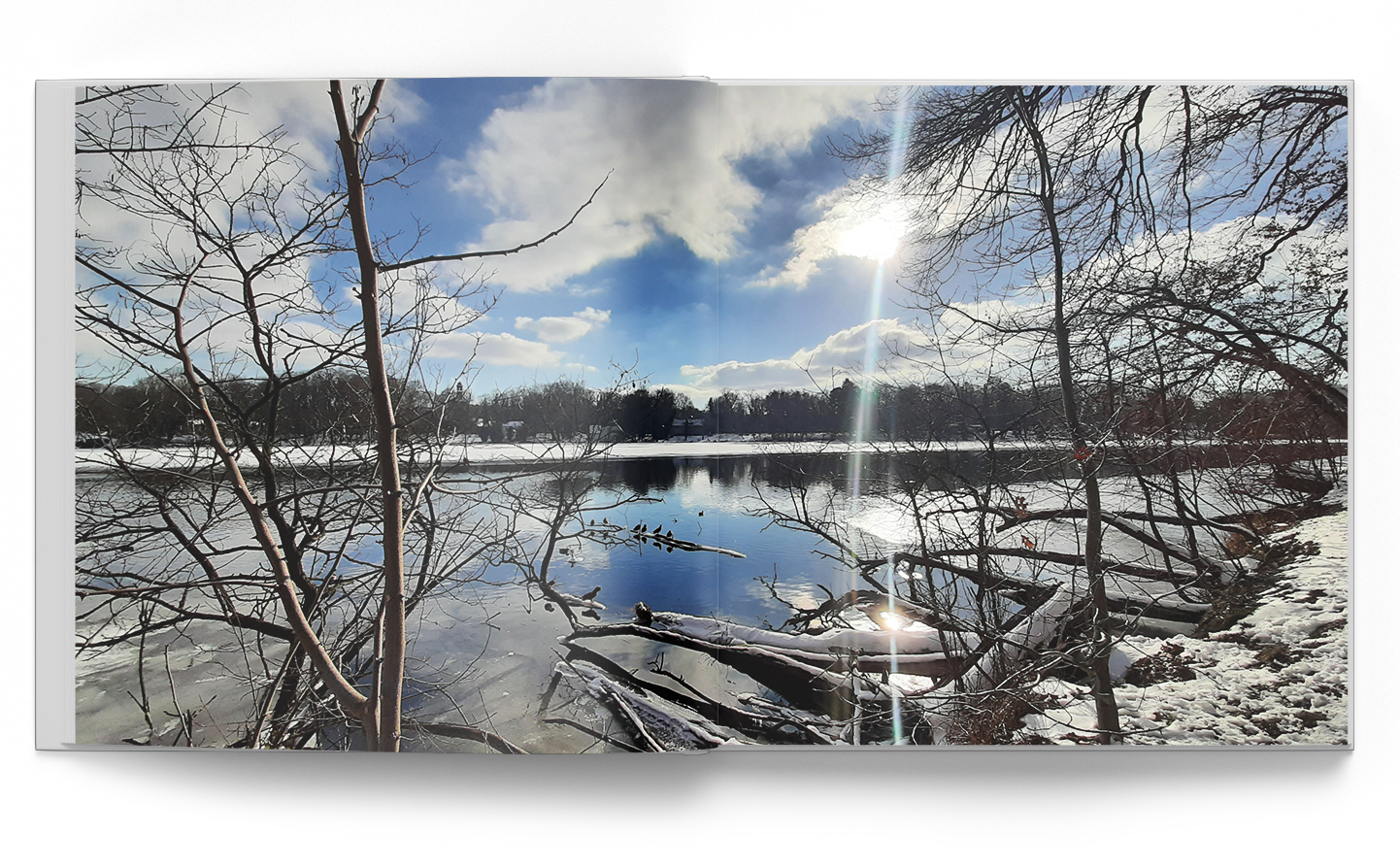 Andrea Honig, Zahnärztin Kleinmachnow