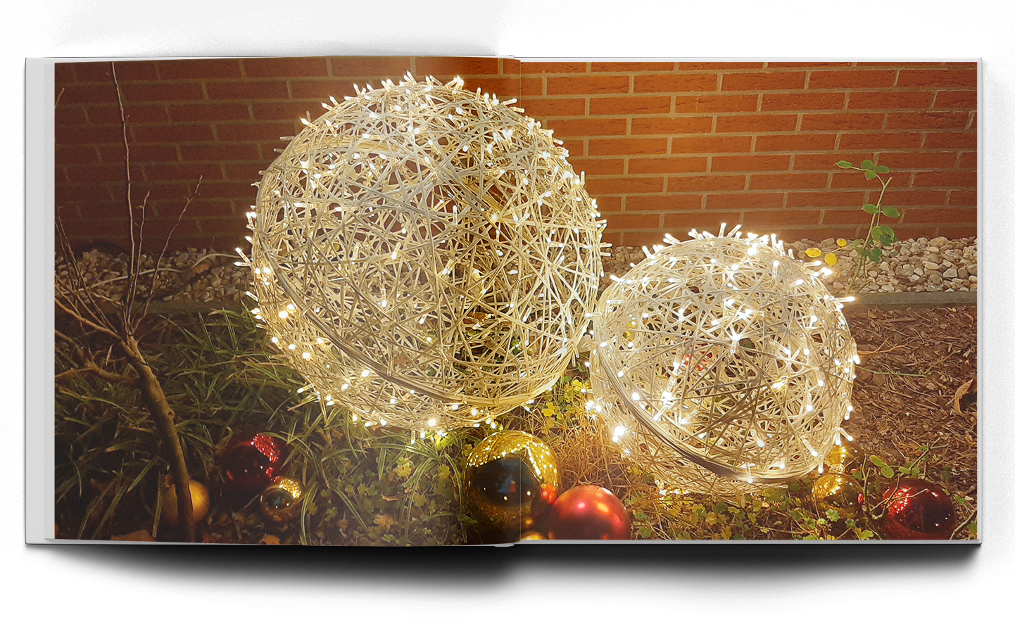 Andrea Honig, Zahnärztin Kleinmachnow