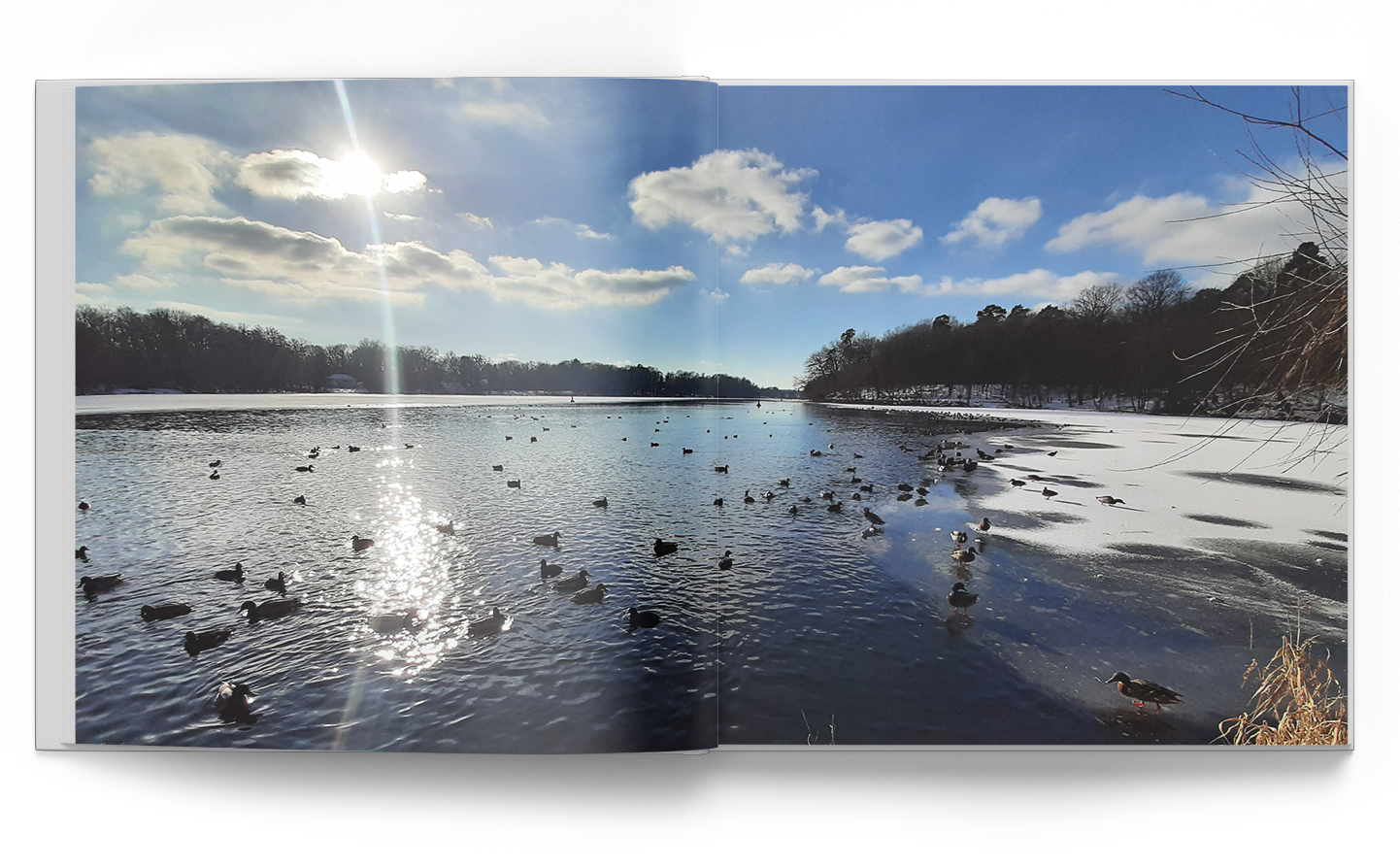 Andrea Honig, Zahnärztin Kleinmachnow